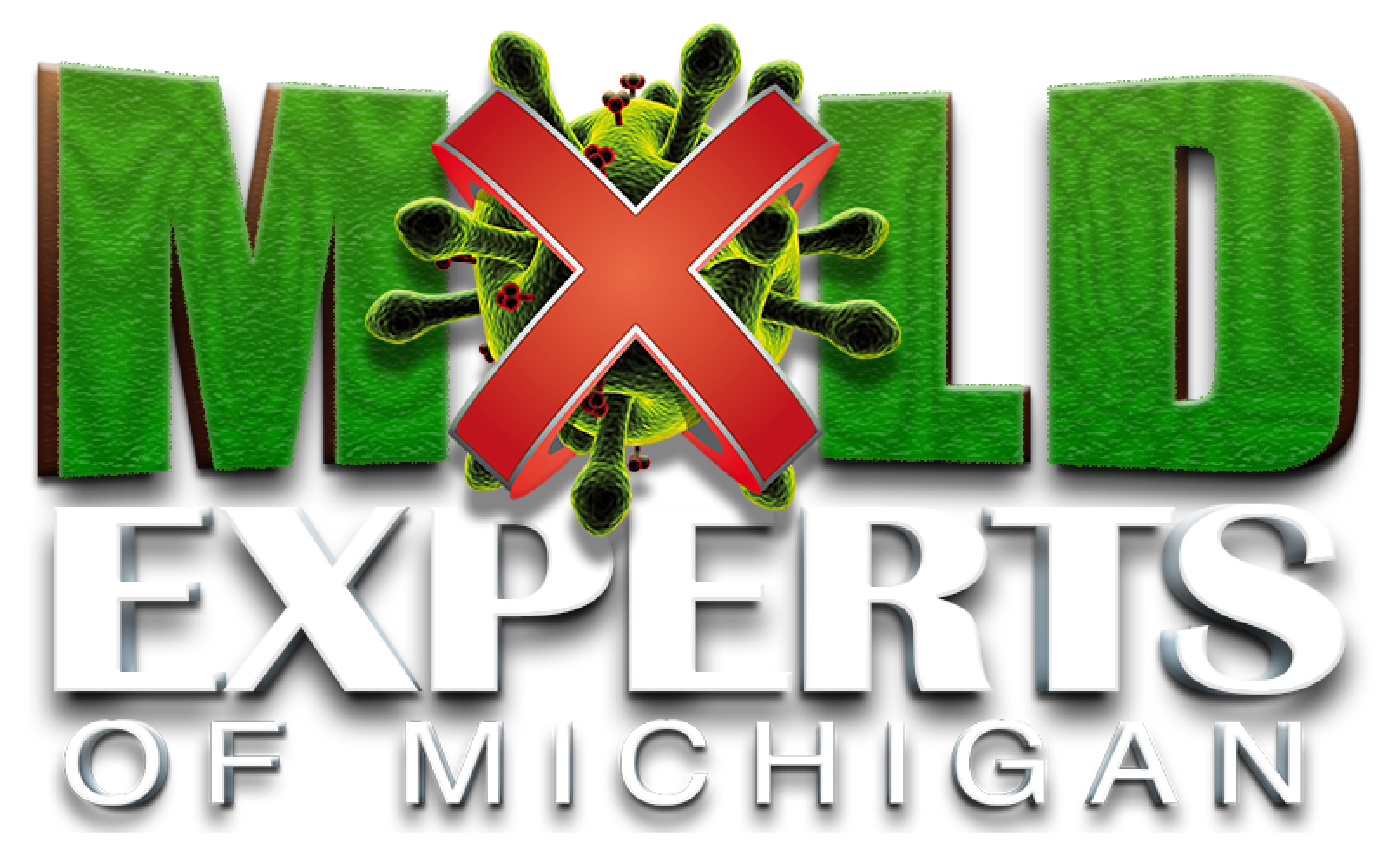 Mold Experts of Michigan